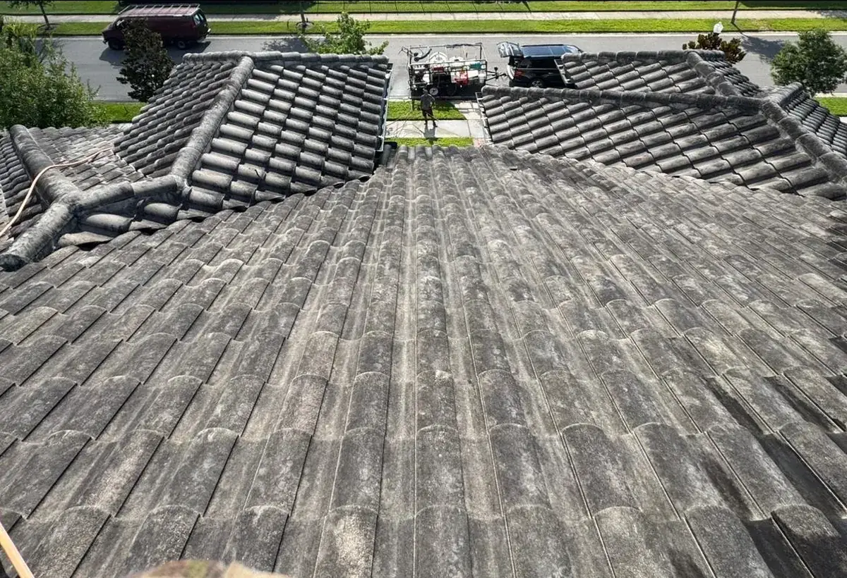 Tile roof in Oviedo FL streaked with black algae before soft washing