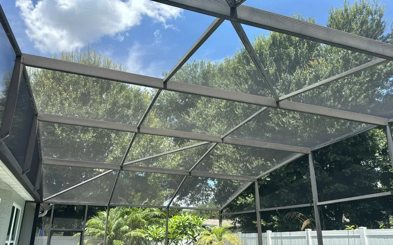 Screen enclosure frame and mesh in Oviedo, FL after cleaning